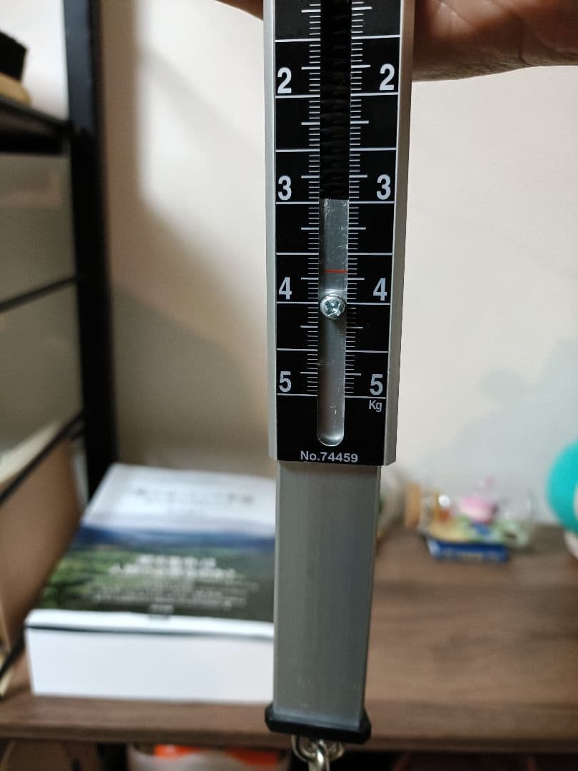 【年末セール】HISTORY SH-TC/R 3TS　テレキャスター　日本製