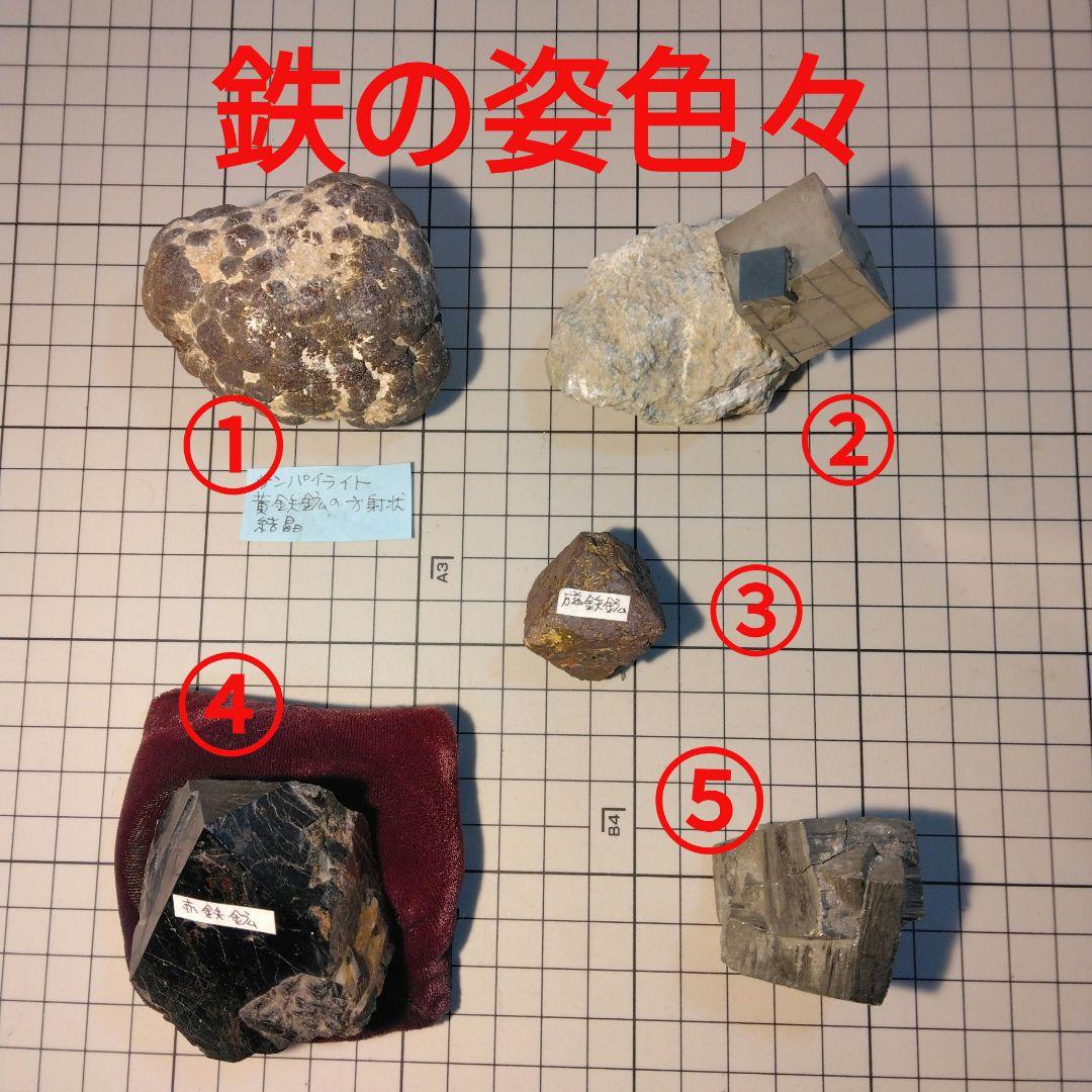 ①サンパイライト②黄鉄鉱③磁鉄鉱④赤鉄鉱⑤黄鉄鉱