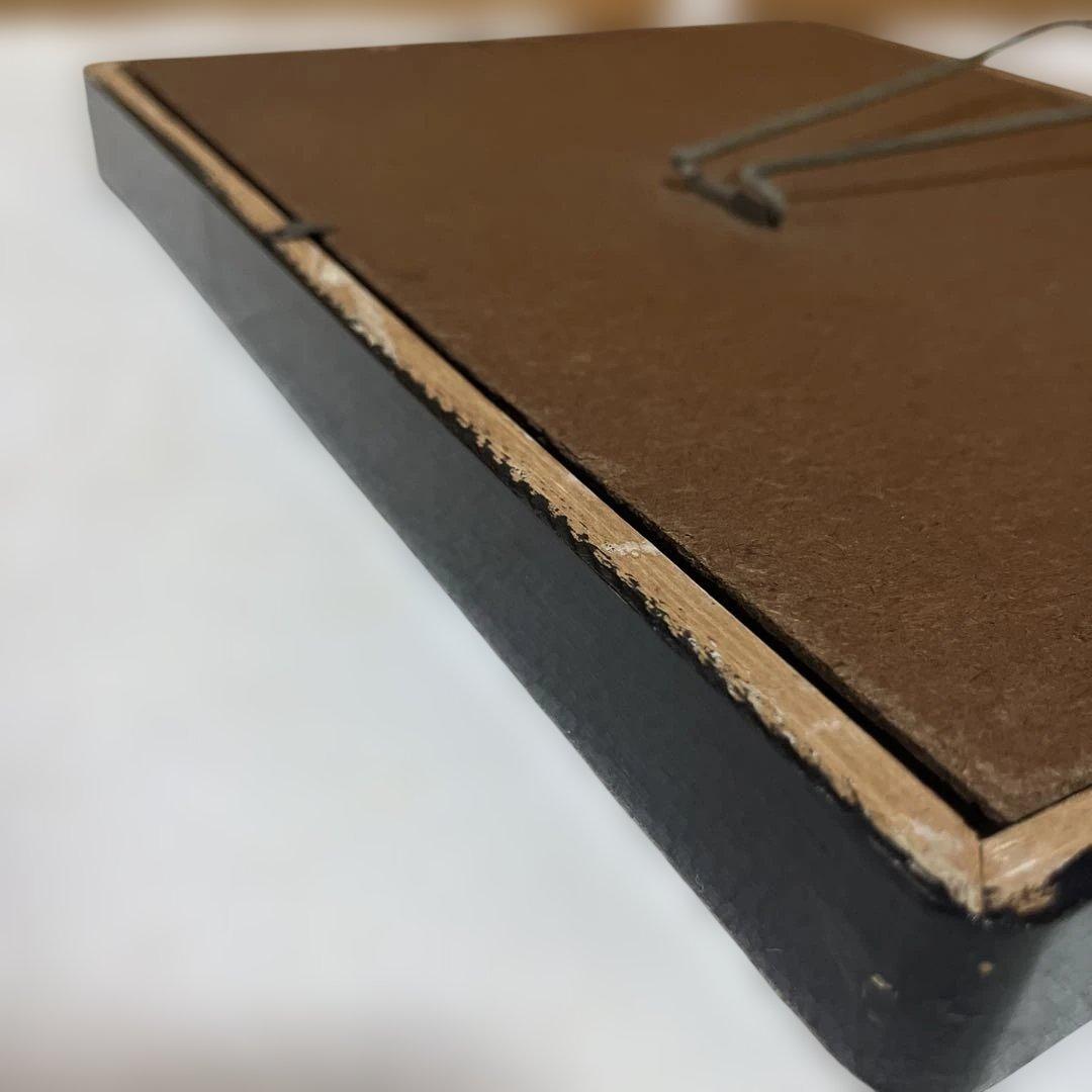 レトロ　モルフォ蝶他標本