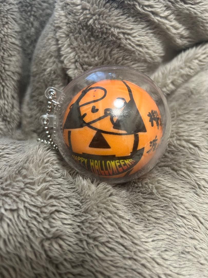 サイン入りボール 渡辺梨加 欅坂46