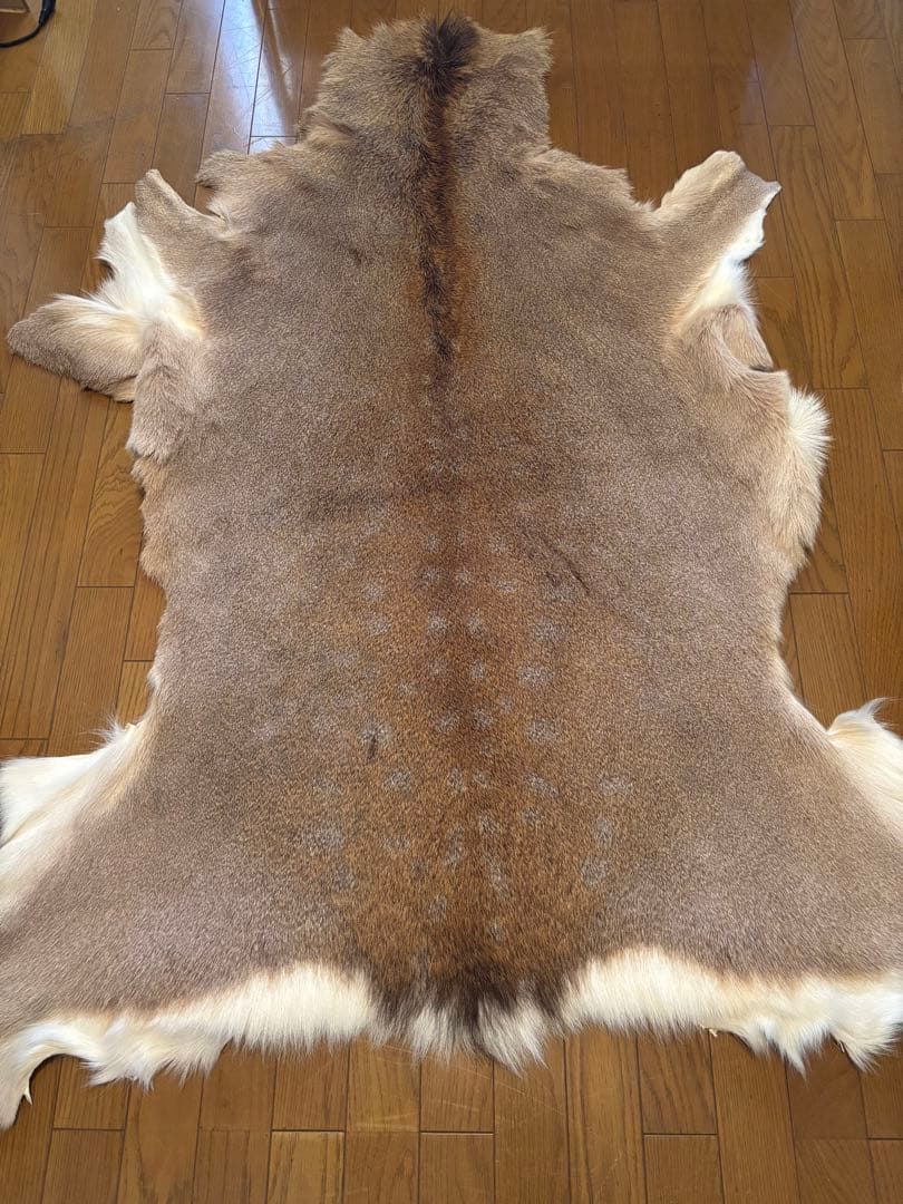 だ*ぶ様 蝦夷鹿毛皮ラグ　天然　バンビ