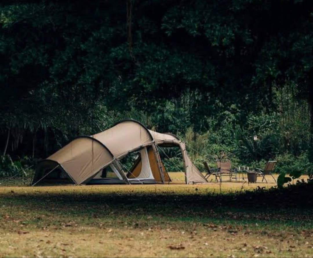 GIMORGギモーグ_ゼインアーツ