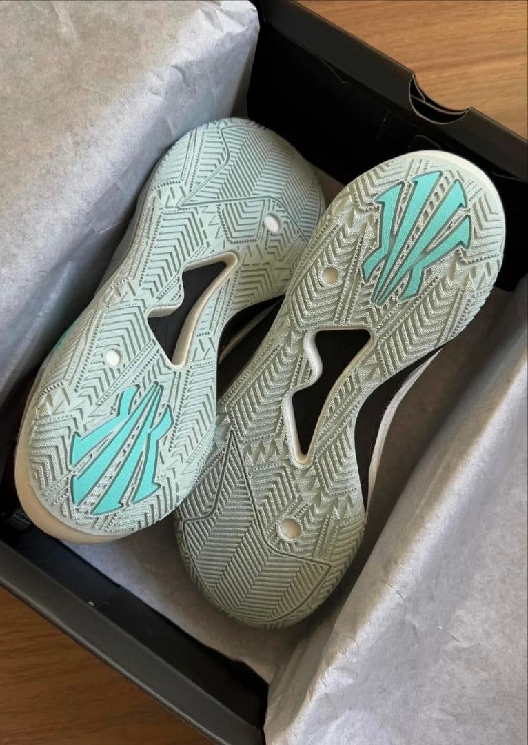 シューズ(男性用) KAI 1 SPEED 24.5cm