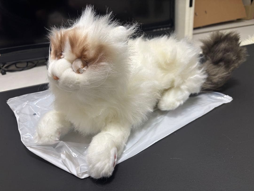 猫 ねこ ぬいぐるみ 新品未使用 全約50cm