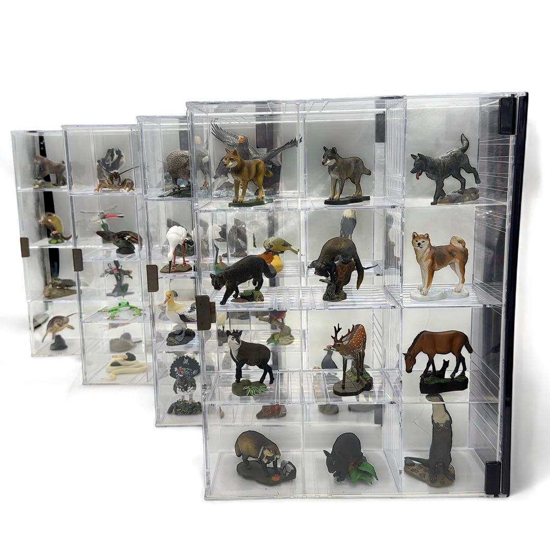 希少品 小学館 週刊 日本の天然記念物 52体セット まとめ売り