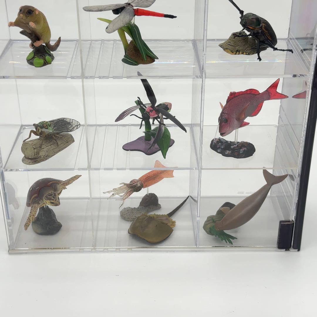 希少品 小学館 週刊 日本の天然記念物 52体セット まとめ売り