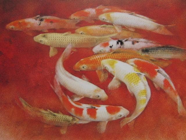 山下関城、【錦】、希少な額装用画集より、新品額装付、状態良好