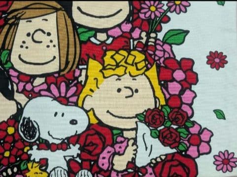 激レア！SNOOPY＆仲間たち　綿トート　 SNOOPYTOWN　梅田　タグ付き