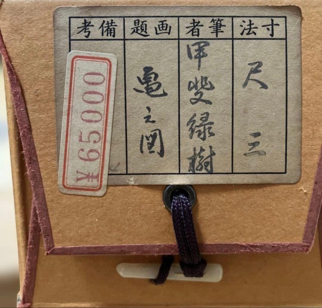 亀之図 尺三 掛軸 甲斐緑樹 落款印 箱 木箱付き 春光美術院