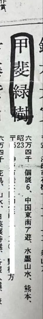 亀之図 尺三 掛軸 甲斐緑樹 落款印 箱 木箱付き 春光美術院