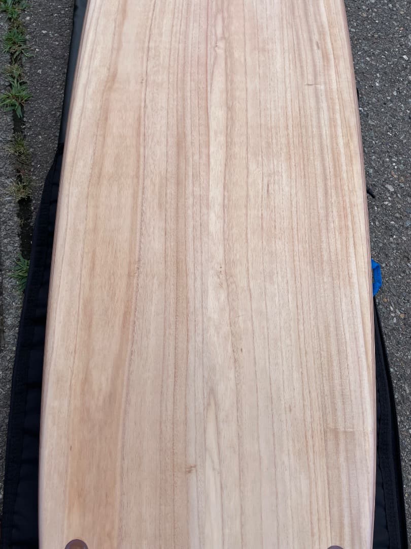 カリフラワー【未使用】Firewire GEM 9‘1　ハードケース込み