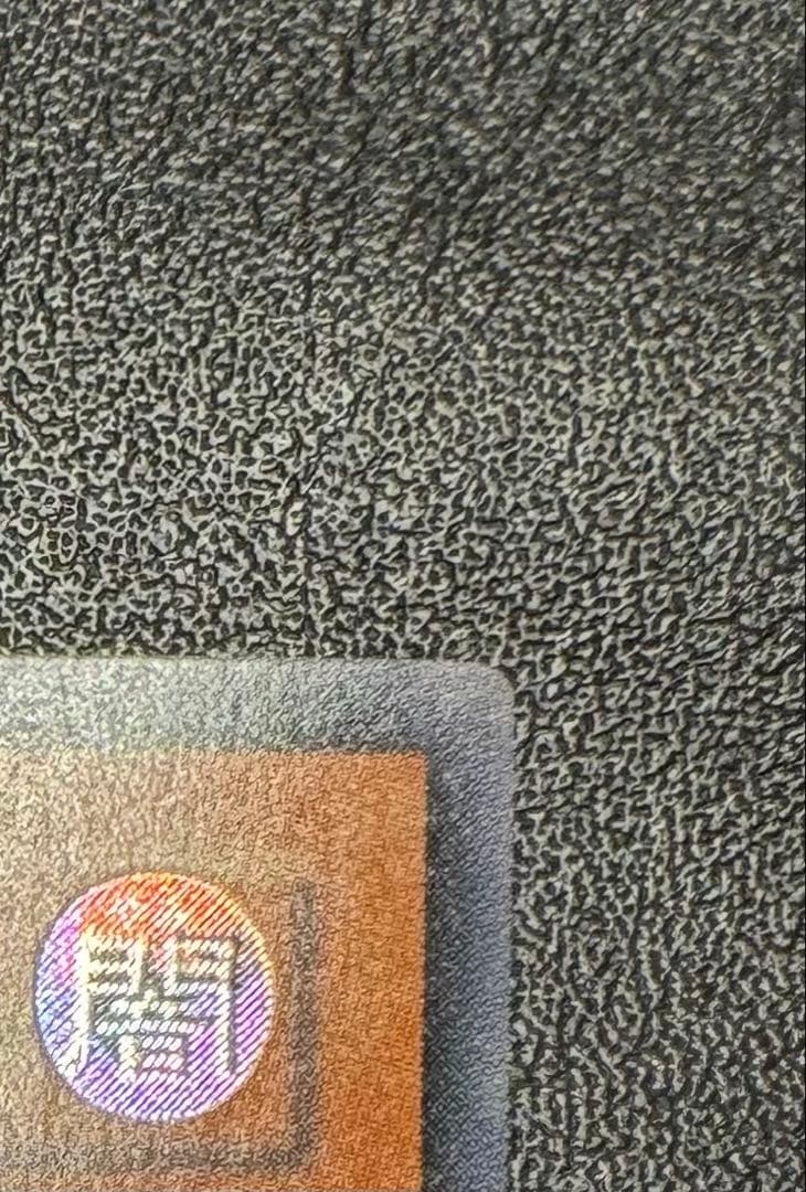 真紅眼の闇竜/レッドアイズダークネスドラゴン/ ドラゴン族/遊戯王/レリーフ