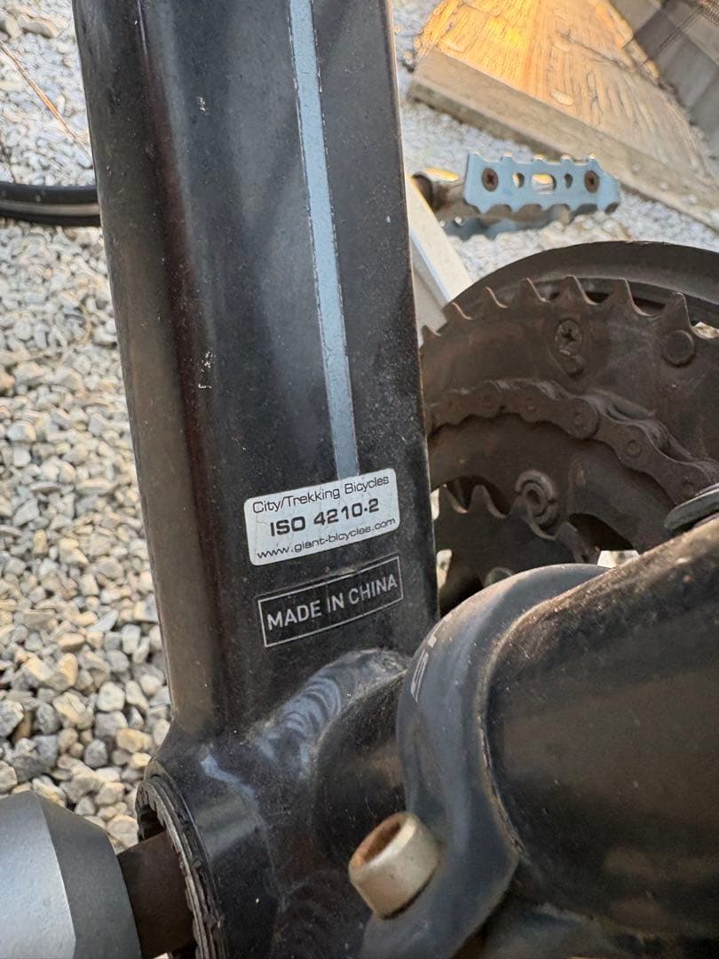 こっけ　　　　　　　　　　　GIANT ESCAPER X Mサイズ