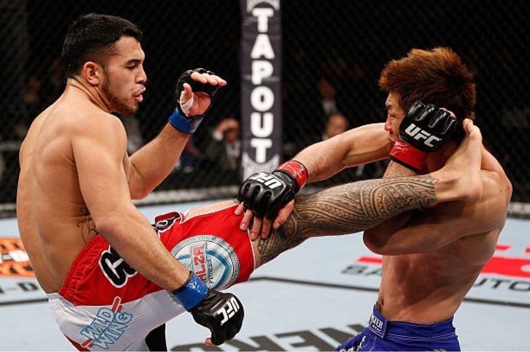 UFC JAPAN 試合 実使用 公式グローブ　福田力