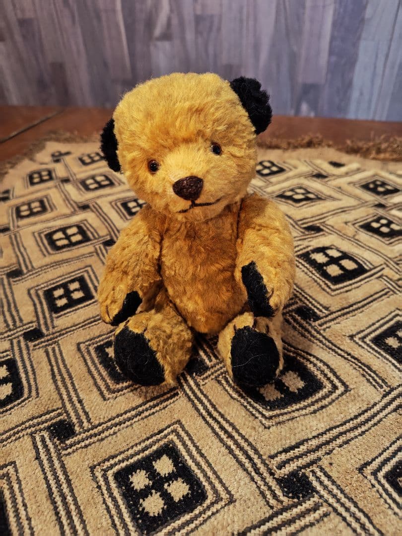 スーティー 1950年代