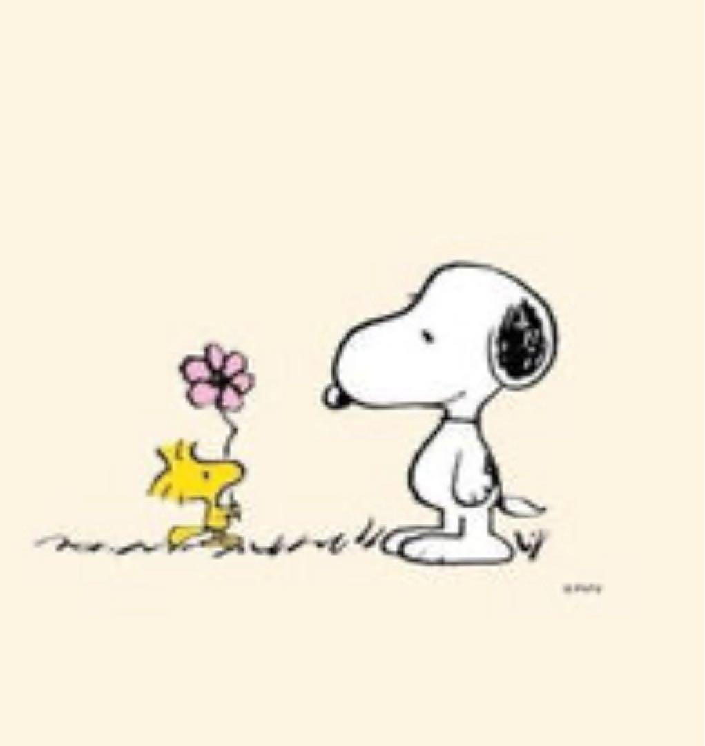 藤井風Feelin' AlohaアロハシャツMサイズ日産スタジアムライブ里庄町