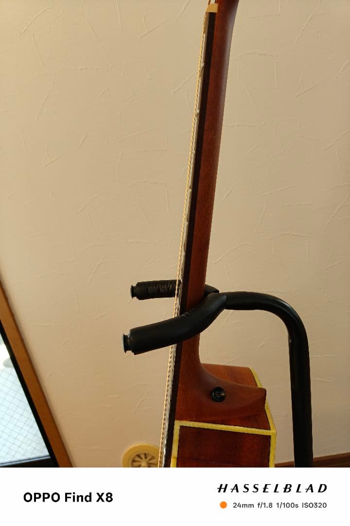 アヌエヌエ aNueNue Bird Guitar aNN-M1