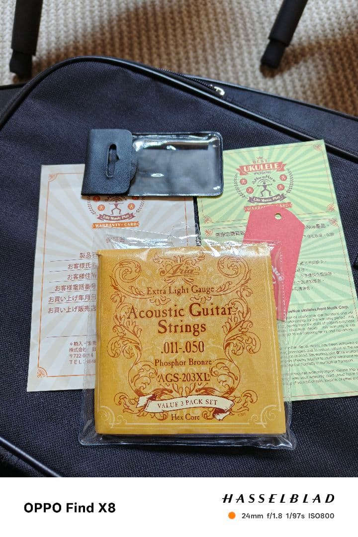 アヌエヌエ aNueNue Bird Guitar aNN-M1