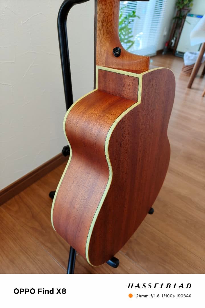 アヌエヌエ aNueNue Bird Guitar aNN-M1