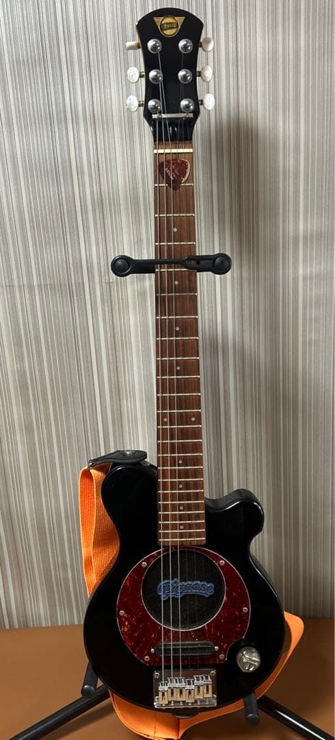 pignose アンプ内蔵 エレキギター