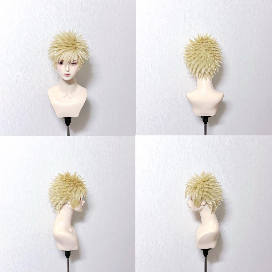 コスプレウィッグ aoao