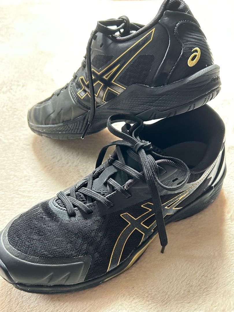 【アシックス】25cm V-SWIFT FF 3 LO エクストラワイド