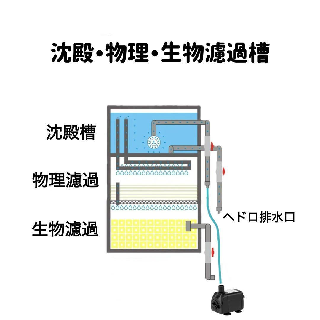 沈殿物理生物一体型濾過槽　外部式濾過装置器　水槽濾過バイオスポンジフィルター付き