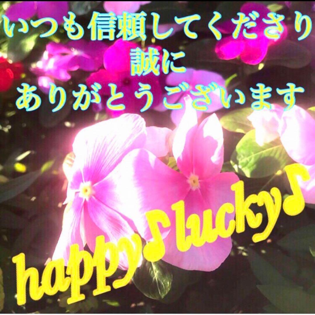 秘符(さくら)呪詛　呪い　怨霊　怨念　洗脳　催眠　暗示　護符　霊符　お守り