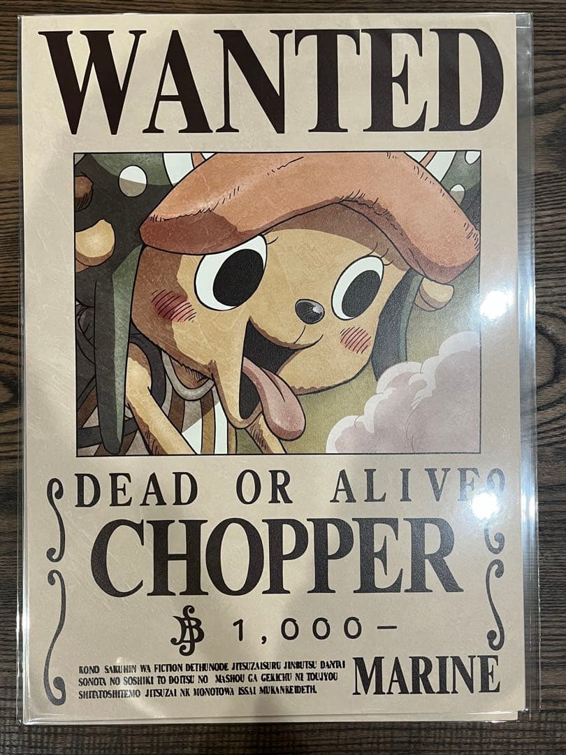 【新品最新】ワンピース 海軍発行公式手配書 麦わらの一味 ポスター A３
