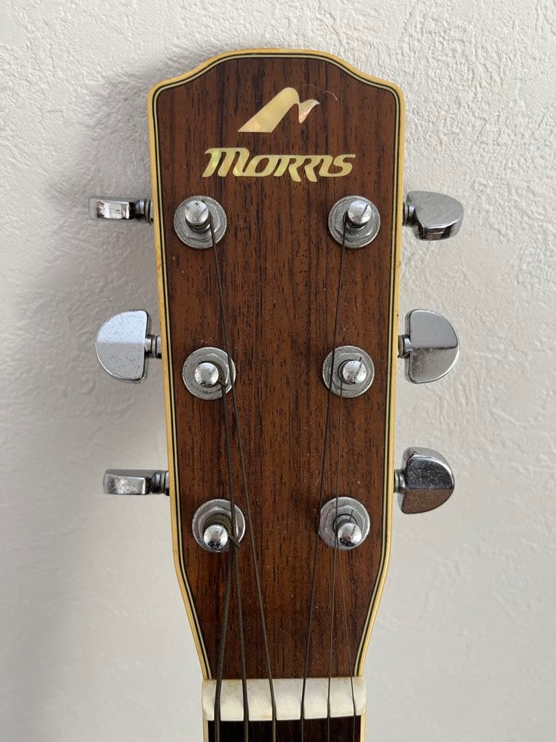 Morris Rumbler RA800P アコースティックギター