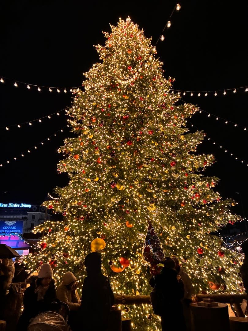 ともさん専用ASICS SWIFTACE YUKI 26.0cm 河村勇輝