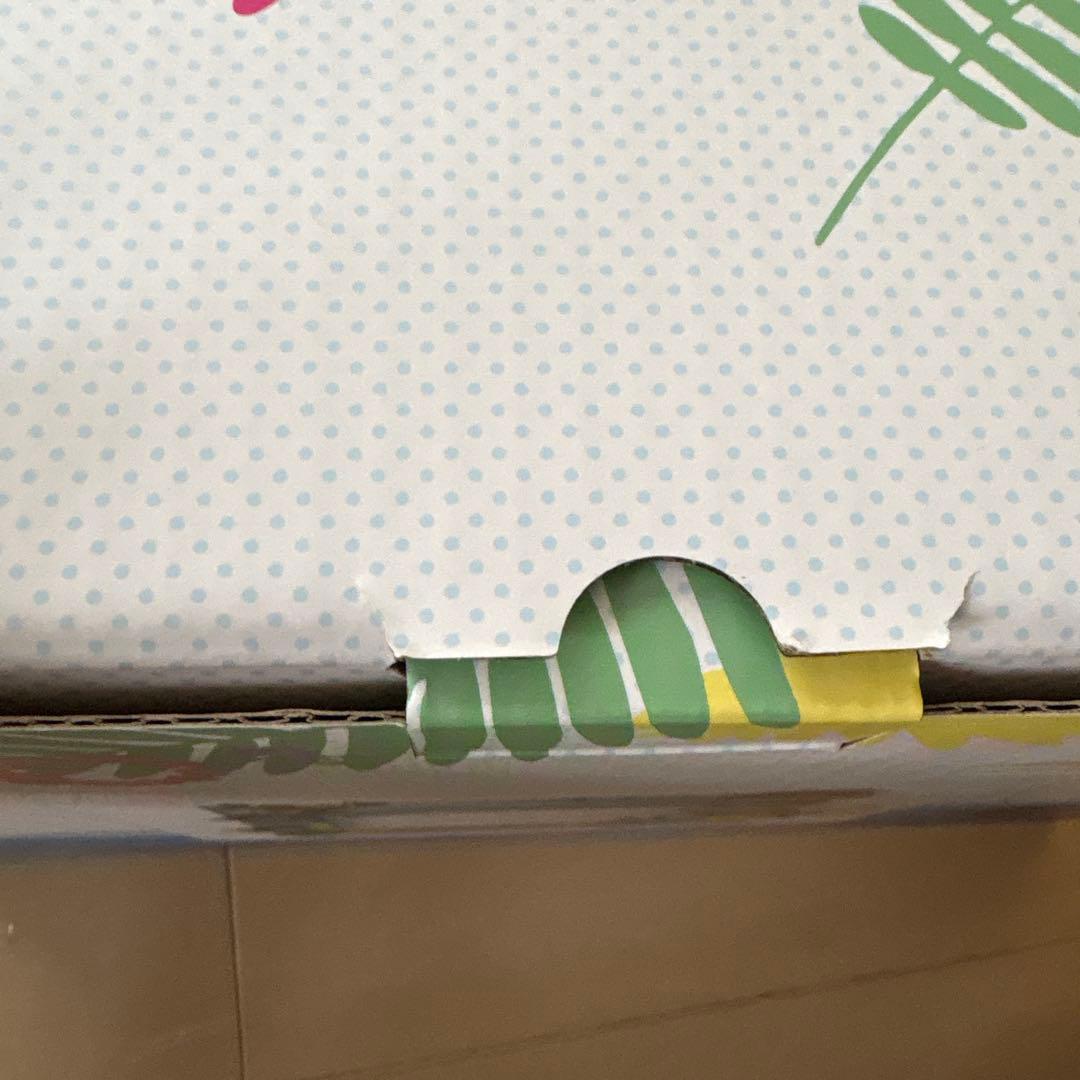 お値下げ‼️ポケモンワールドチャンピオンシップ2024公式フォトフレーム