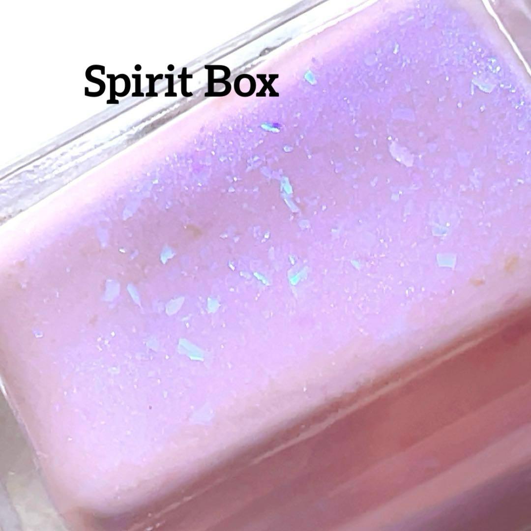 Shleee Polish ネイルポリッシュセット 19本　マニキュア