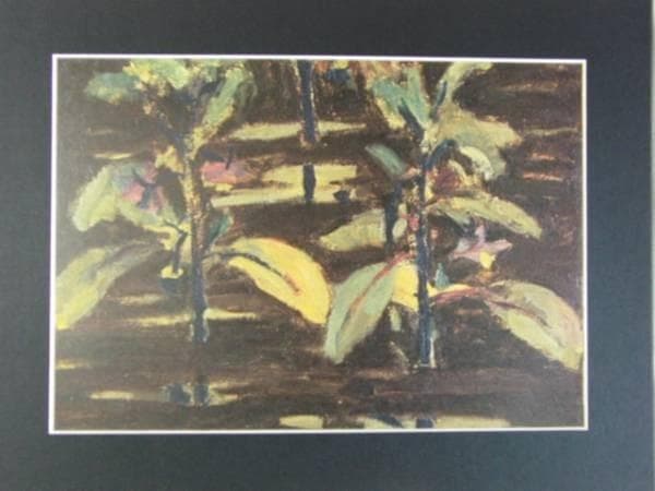 小絲 源太郎/雨後、版上サイン入、限定・高級額装用画より