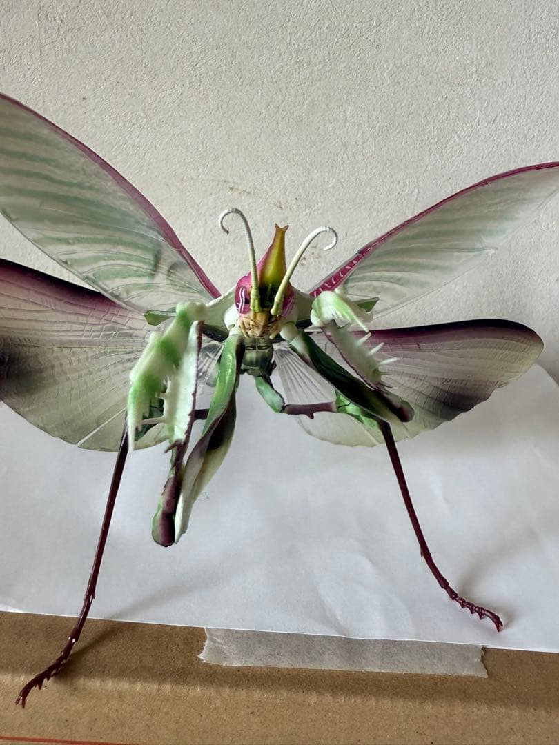 シ*ン様 いきもの大図鑑アドバンス　ニセハナマオウカマキリコンプリート