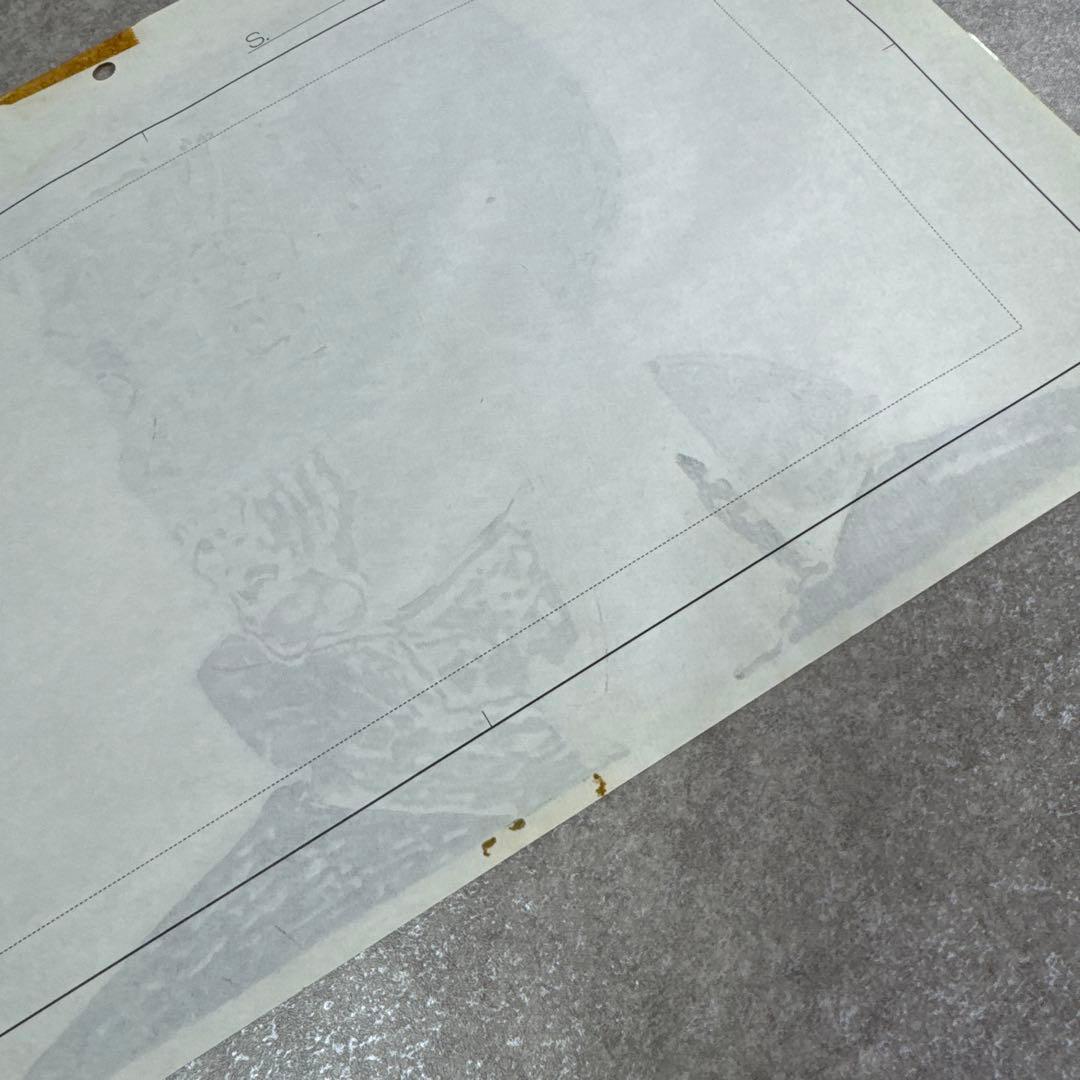 希少 おもひでぽろぽろ トシオ セル画 C5 スタジオジブリ