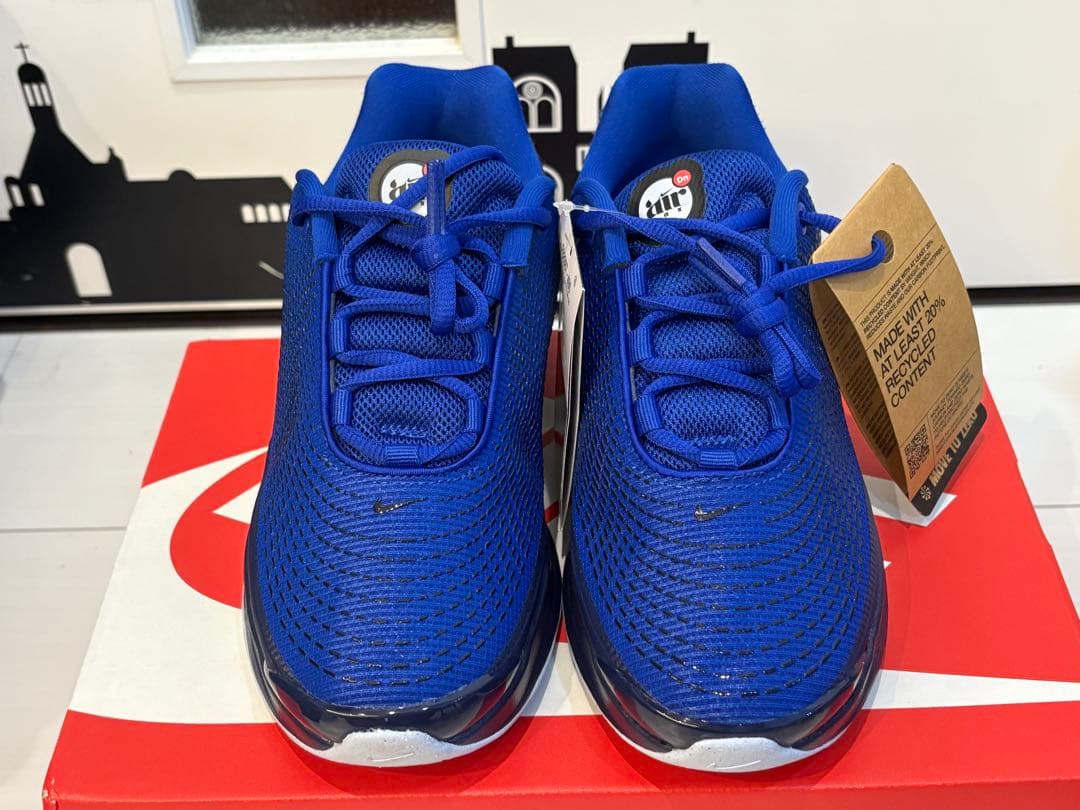 パルさん専用ナイキAIR MAX Dn 22.5 FB8987-400 2足