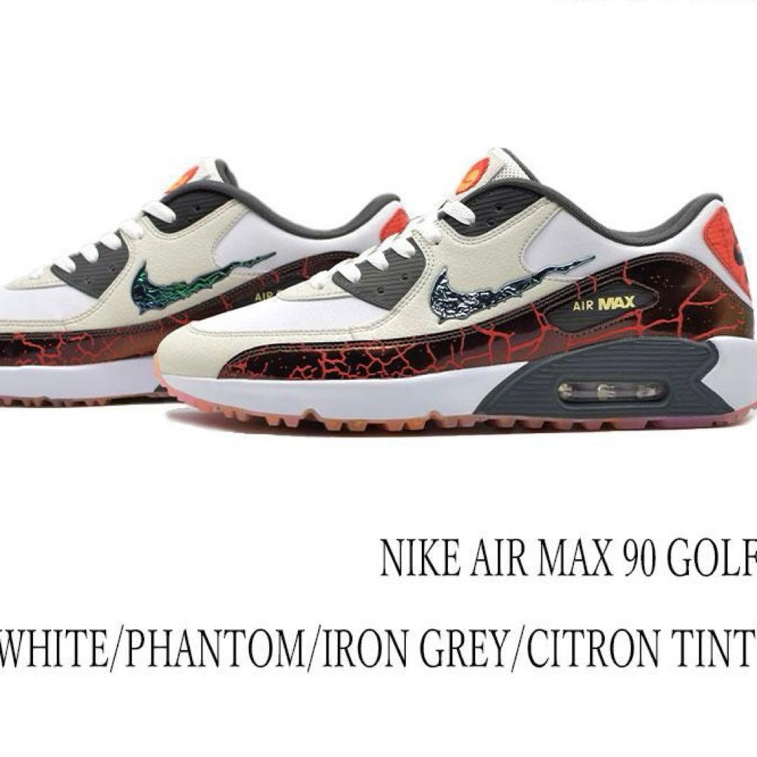 シューズ(男性用) NIKE AIR MAX 90 G NRG 29cm