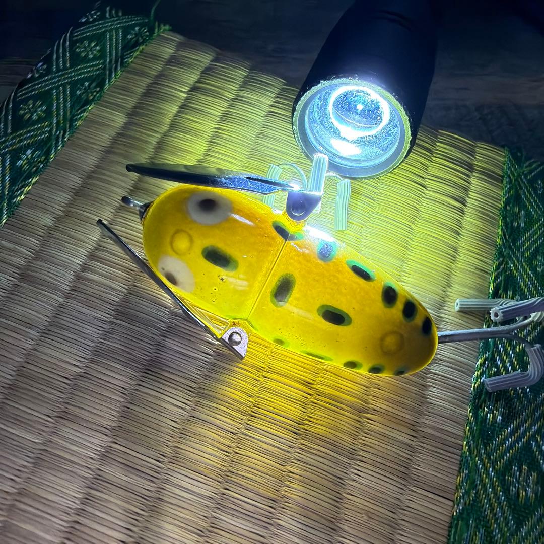 レア個体！スケスケ！ オールド ヘドン クレイジークローラー BFカラー