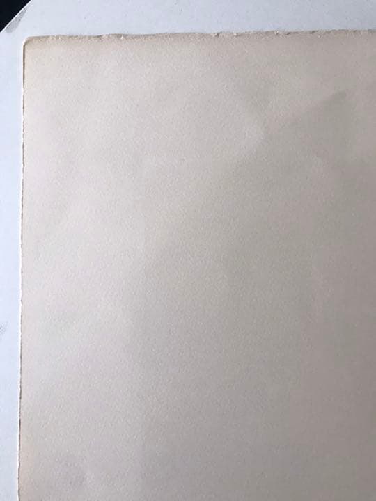 ★F40★脇田和「向かい合う鳥」リトグラフ　限定品　直筆サイン有り