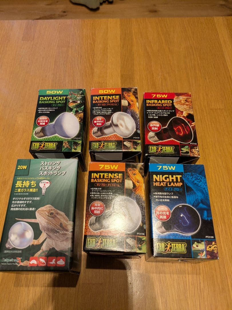 引き取り限定　　GEX　ジェックス　グラステラリウム　6045　おまけ付き