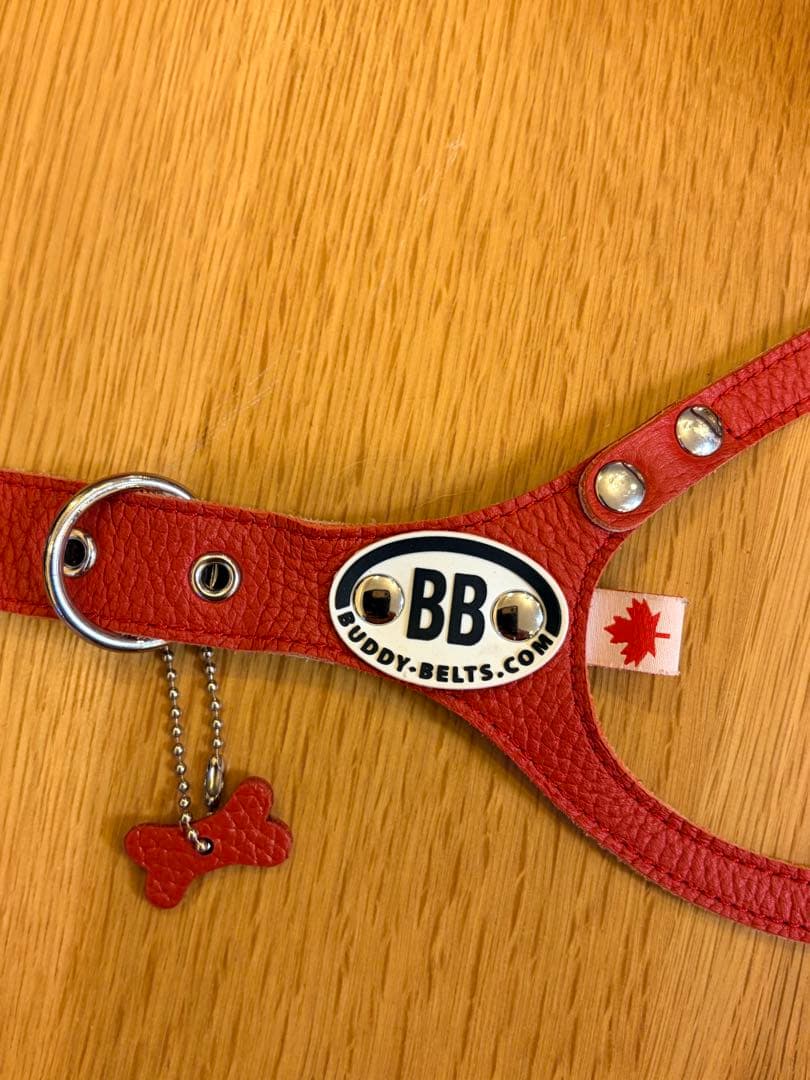 【Buddy Belts】⭐️バディベルト ハーネス 6号 レッド 本革 カナダ製
