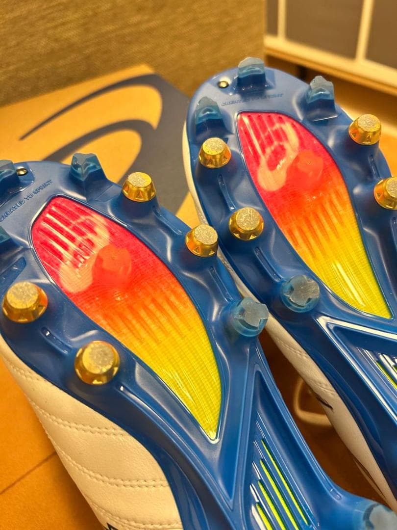 【極美品】アシックス DS LIGHT X-FLY PRO ST 25.5cm