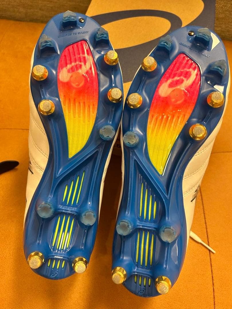 【極美品】アシックス DS LIGHT X-FLY PRO ST 25.5cm