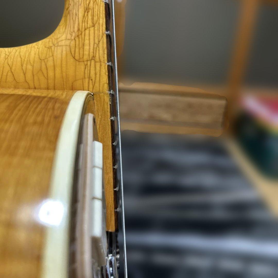 TEISCOセミホロウボディ 3ピックアップフルアコギター