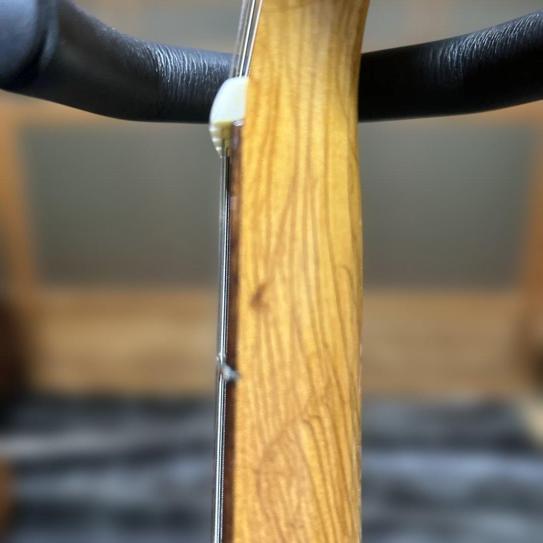 TEISCOセミホロウボディ 3ピックアップフルアコギター