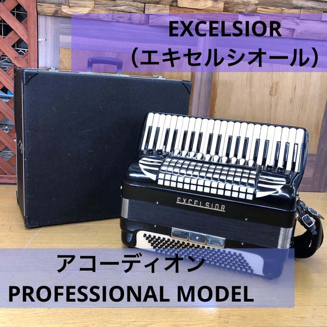 EXCELSIOR アコーディオン Professionalモデル ケース付
