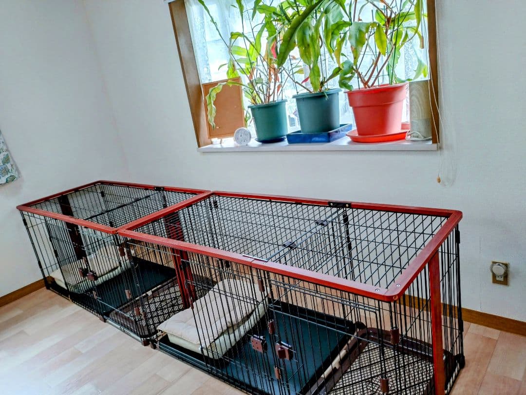 犬用金属ケージ