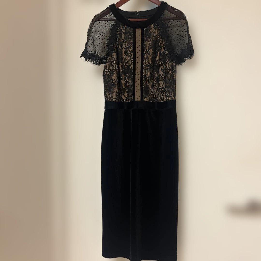 タダシショージ フラワーレース切り替えドレス ドットチュール サイズ2