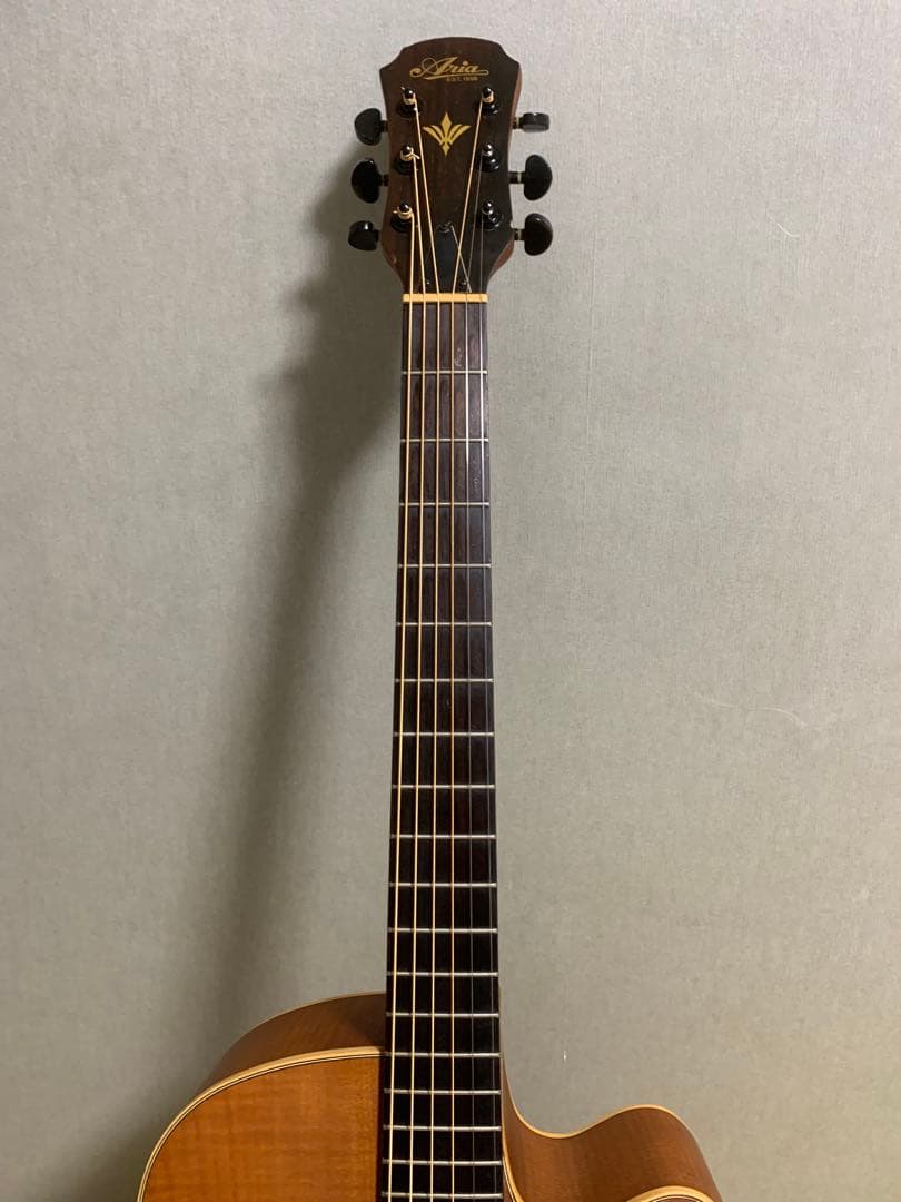 ARIA FET-F1 N エレアコ